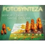 FOTOSYNTEZA